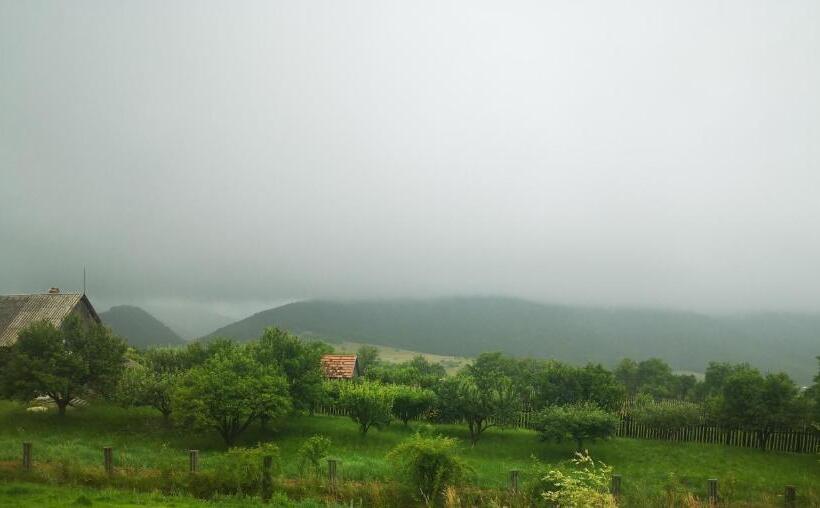 Пансион Cabana Chalet Transylvania