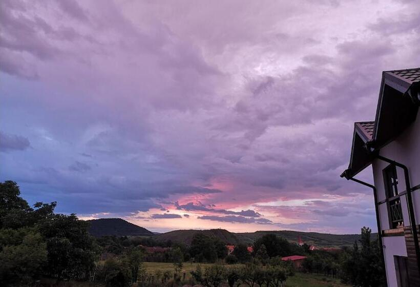 Пансион Cabana Chalet Transylvania