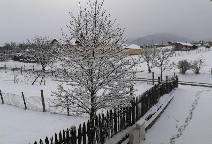 Пансион Cabana Chalet Transylvania