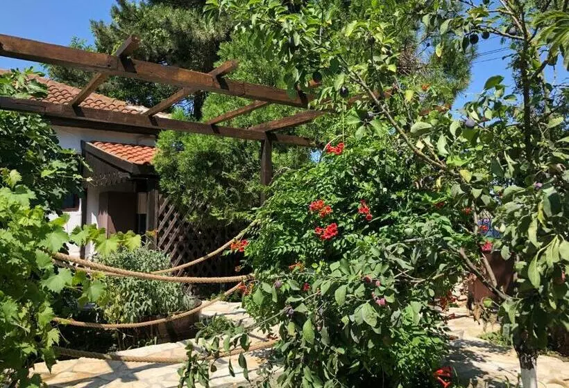Pensjonat Grauri Si Smochini