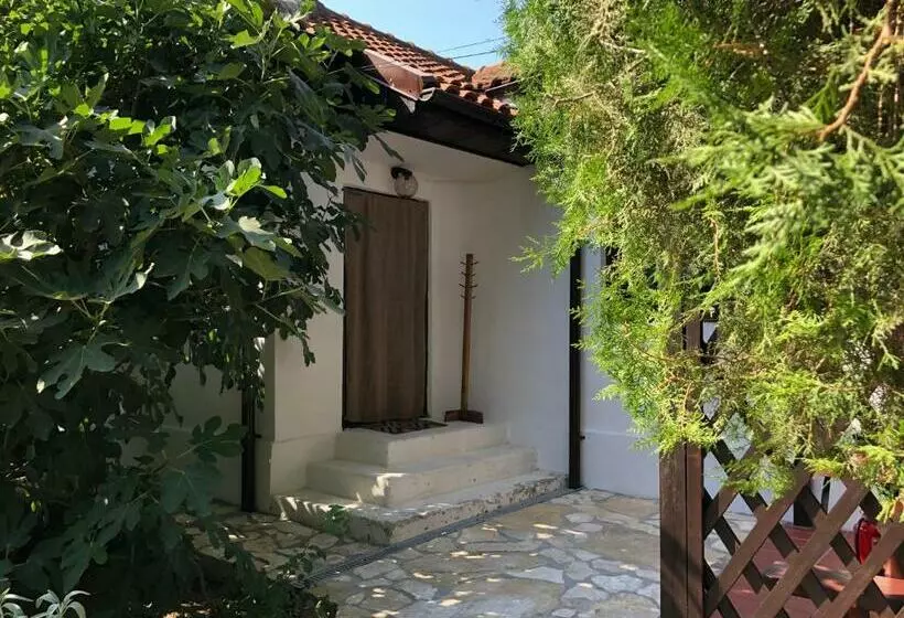 Pensjonat Grauri Si Smochini