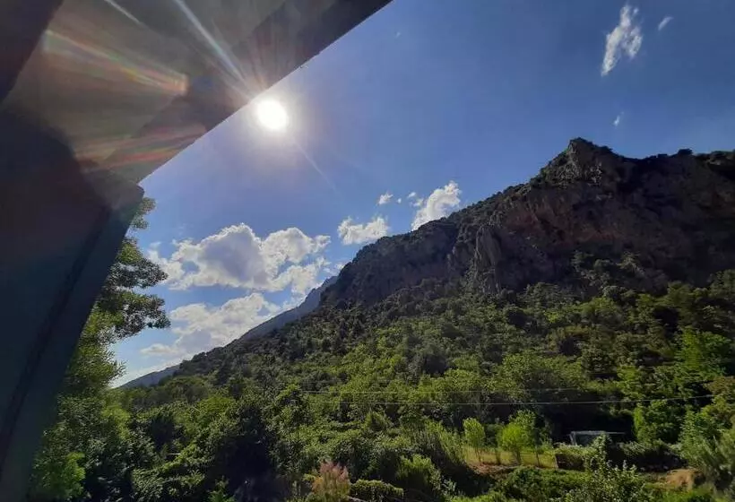 ペンション Les Chambres Chouettes