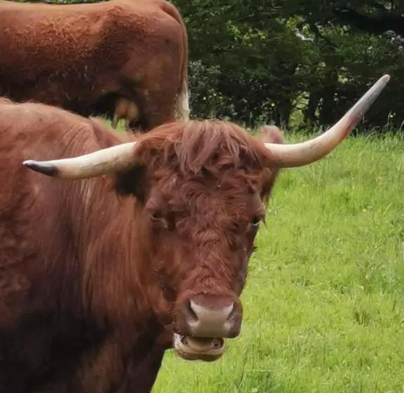 ベッドアンドブレックファースト Acs