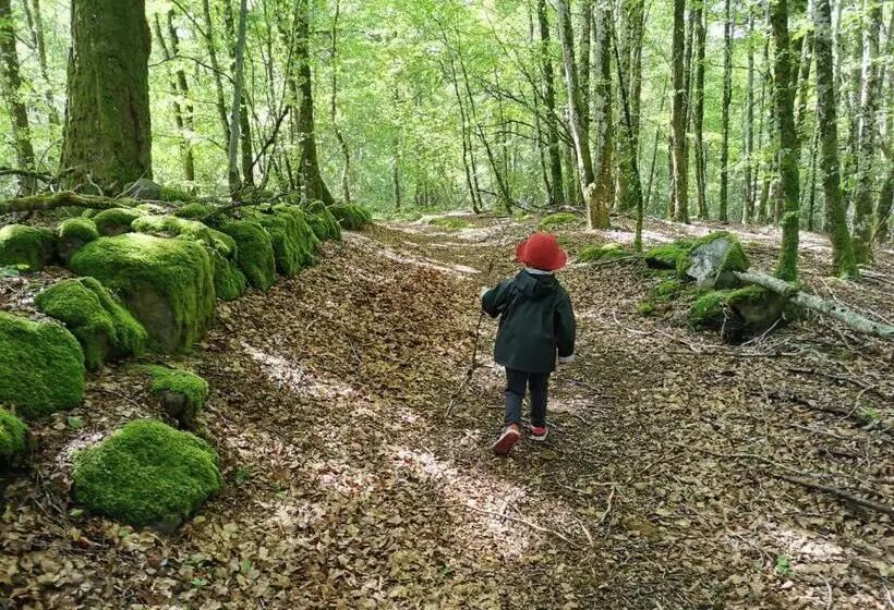 ベッドアンドブレックファースト Acs