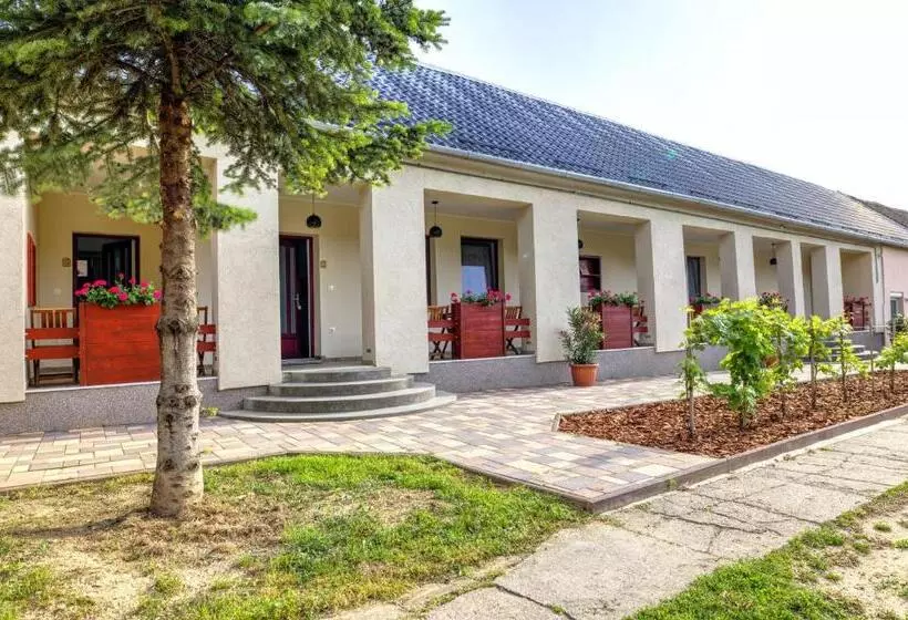 Aamiaismajoitus (B&B) Adamkó Borkert Ház