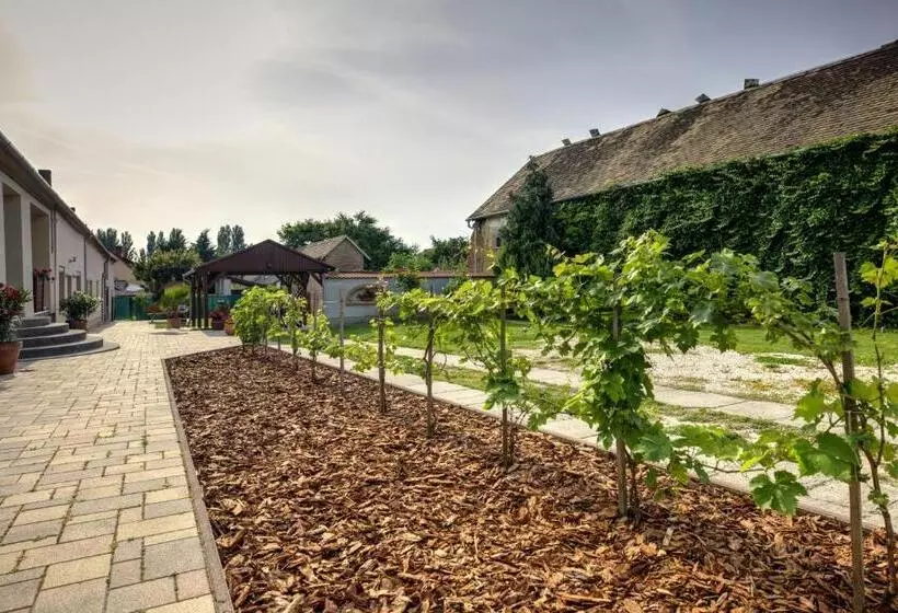 Aamiaismajoitus (B&B) Adamkó Borkert Ház