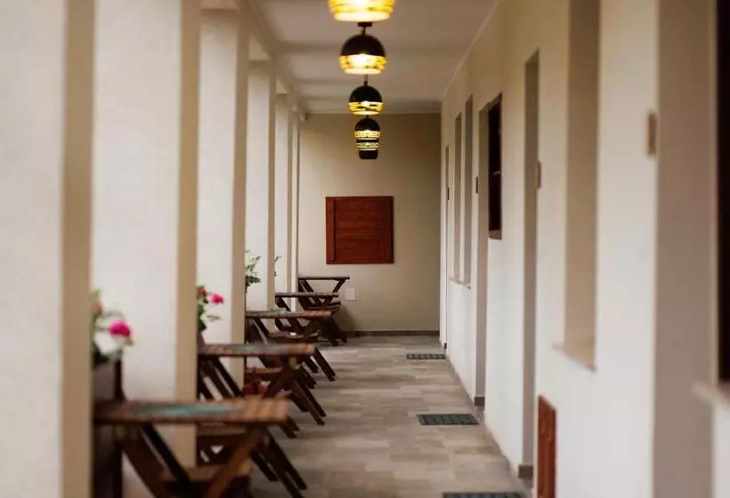 Aamiaismajoitus (B&B) Adamkó Borkert Ház