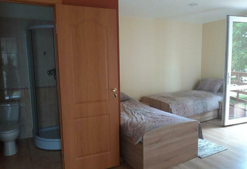 پانسیون Viesu Nams Karpati