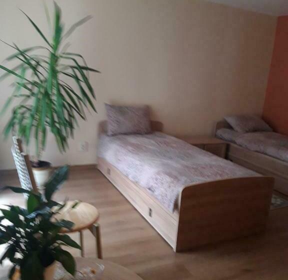 پانسیون Viesu Nams Karpati