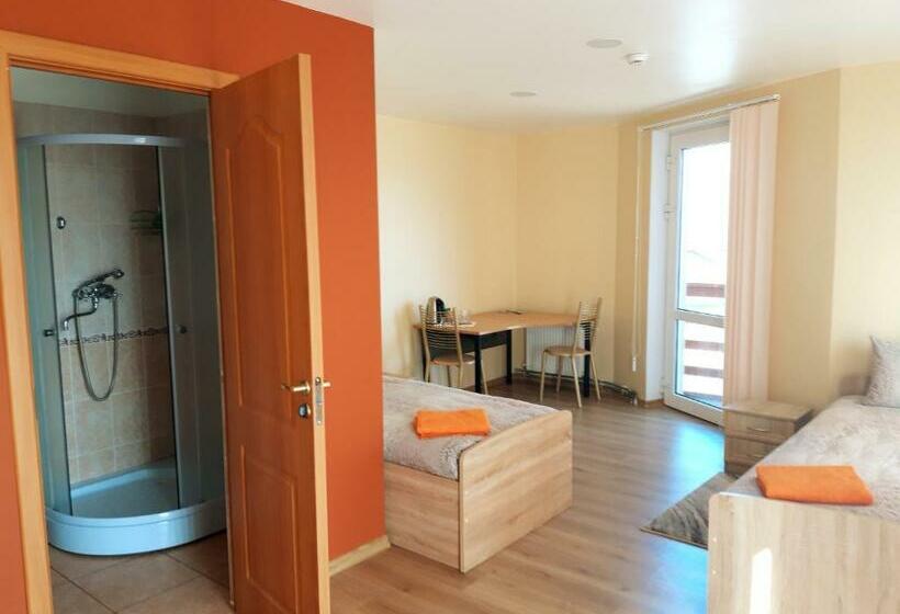 پانسیون Viesu Nams Karpati