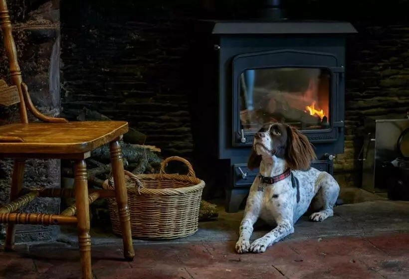 Retkeilymaja The New Inn Halse