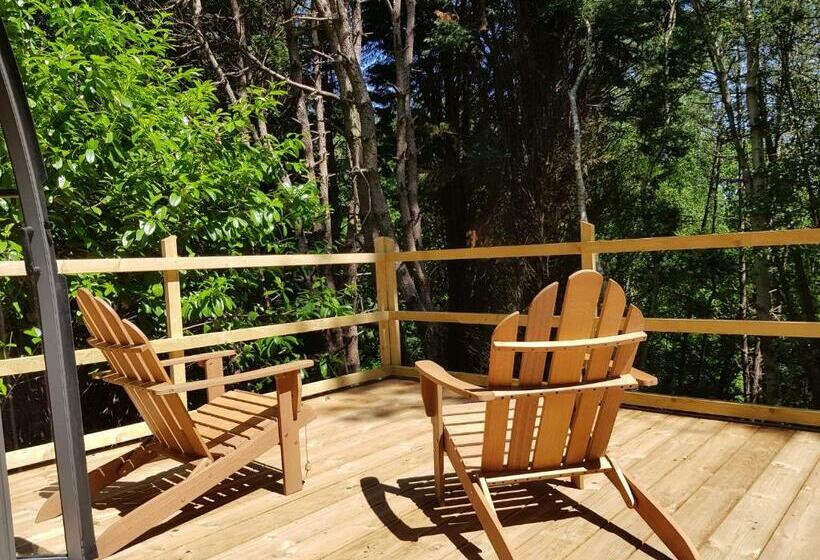 צימר Le Refuge Des Echos   Dômes Insolites D Etretat