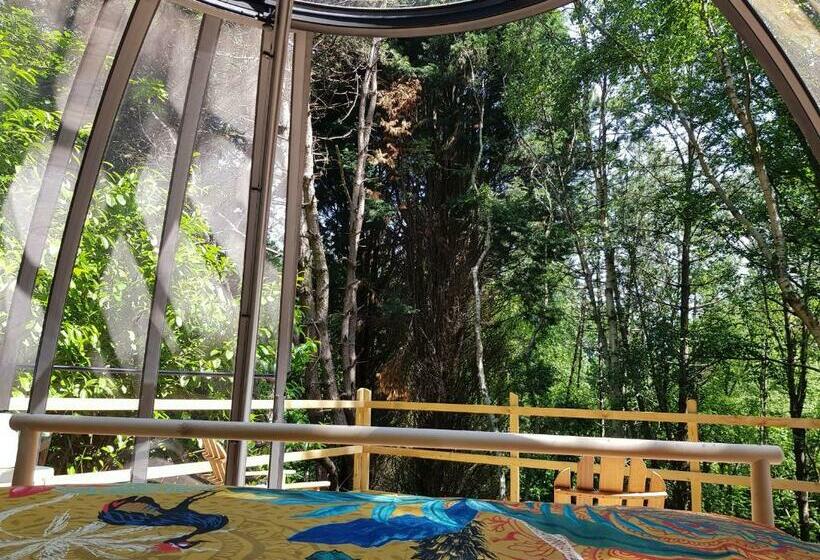 צימר Le Refuge Des Echos   Dômes Insolites D Etretat