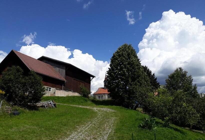 Отель Graslandhof