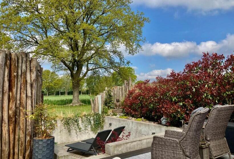 Bed and Breakfast Dreams And Wellness