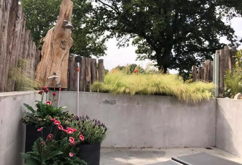 Aamiaismajoitus (B&B) Dreams And Wellness