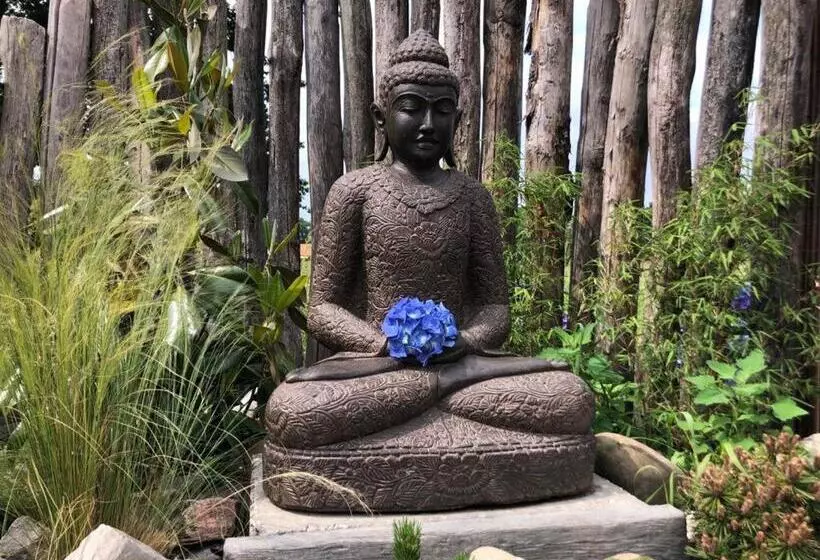 Aamiaismajoitus (B&B) Dreams And Wellness