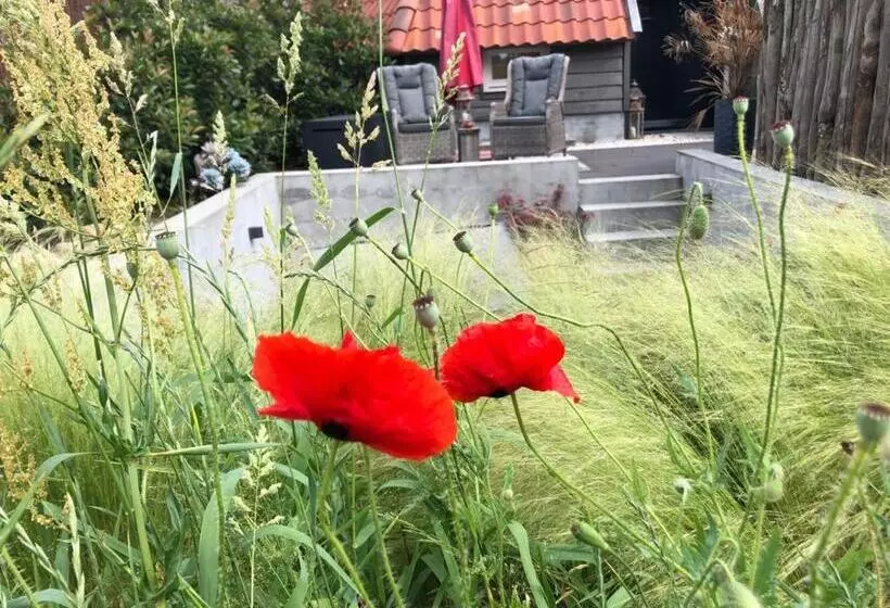 Aamiaismajoitus (B&B) Dreams And Wellness