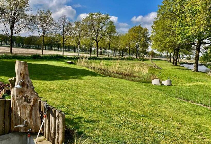 Bed and Breakfast Dreams And Wellness