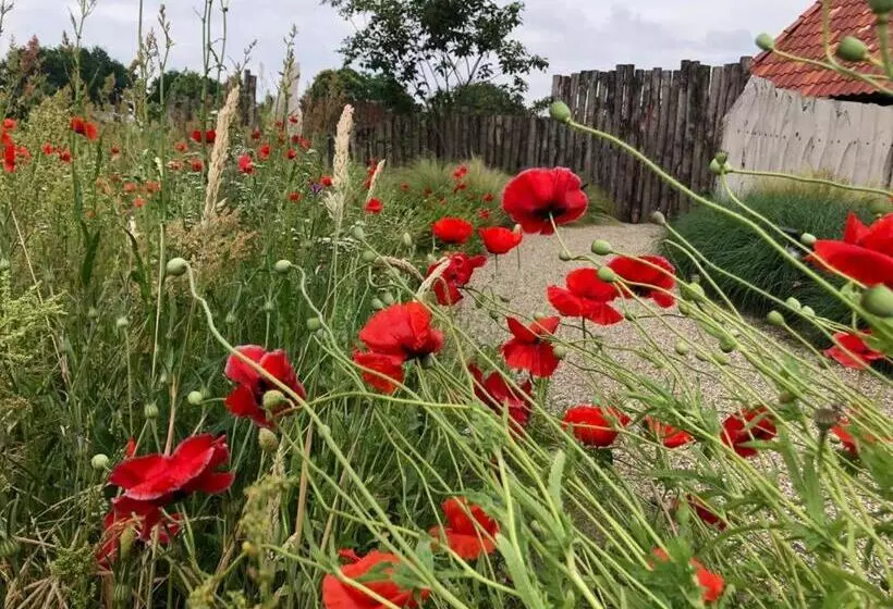 Aamiaismajoitus (B&B) Dreams And Wellness