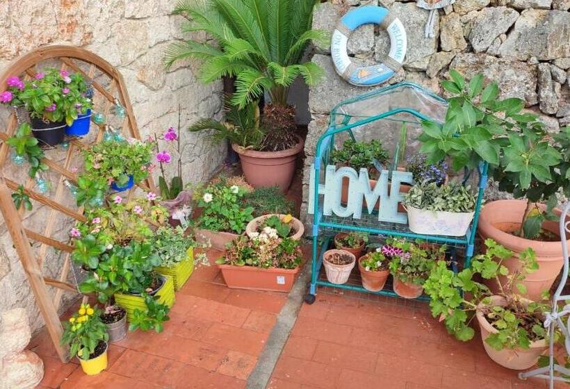 住宿加早餐  Il Nido Di Kiki Affittacamere Bike &fun