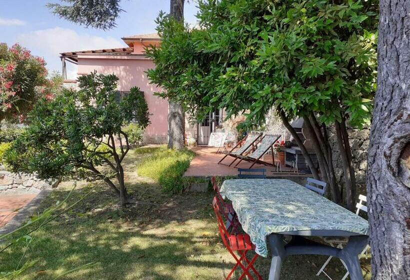 住宿加早餐  Il Nido Di Kiki Affittacamere Bike &fun