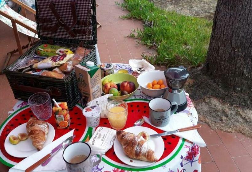 住宿加早餐  Il Nido Di Kiki Affittacamere Bike &fun