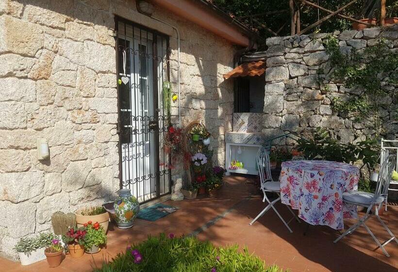 住宿加早餐  Il Nido Di Kiki Affittacamere Bike &fun