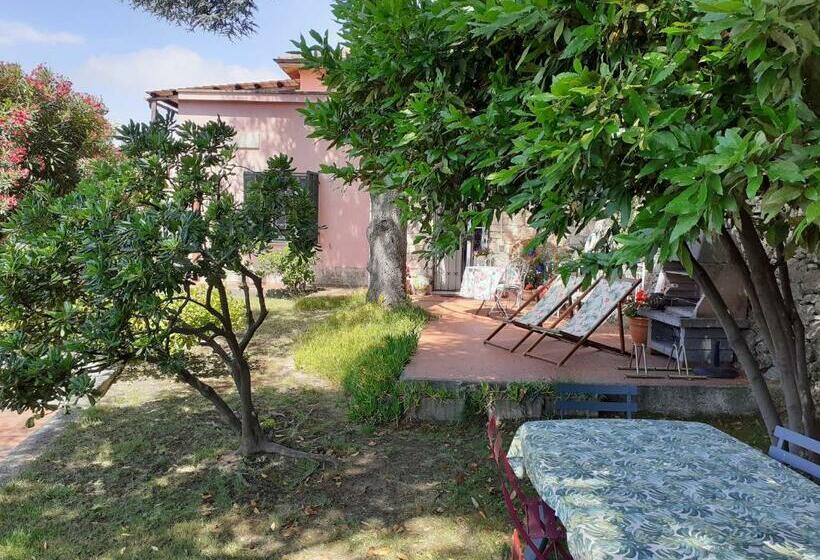 住宿加早餐  Il Nido Di Kiki Affittacamere Bike &fun