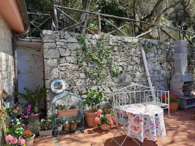 住宿加早餐  Il Nido Di Kiki Affittacamere Bike &fun