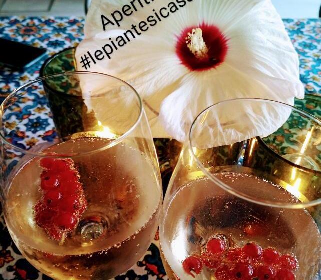 민박 Le Piante Di Casa Samar