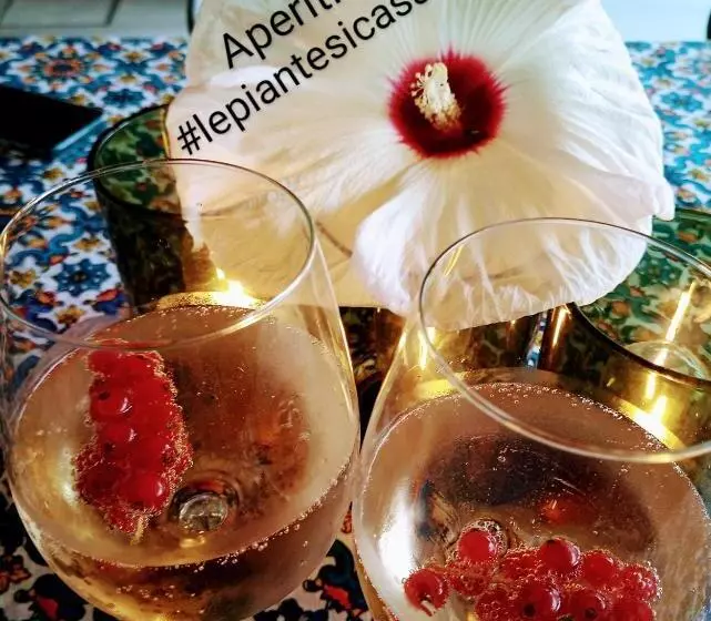 Aamiaismajoitus (B&B) Le Piante Di Casa Samar