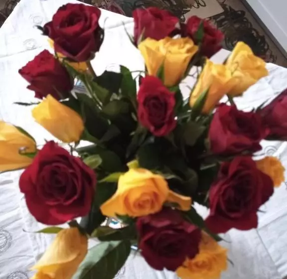 Aamiaismajoitus (B&B) Le Piante Di Casa Samar