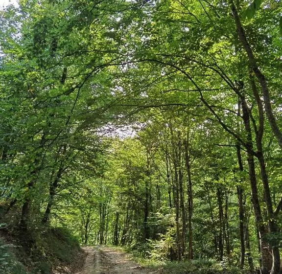 ベッドアンドブレックファースト Les Hauts De Grazac, Chambres Et Tables D Hôtes