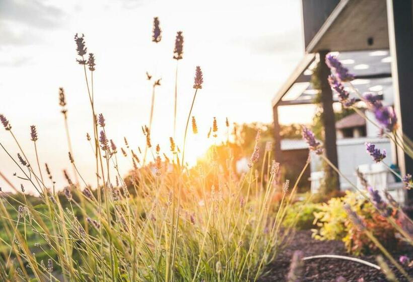 مبيت وإفطار Tavarneta Estate