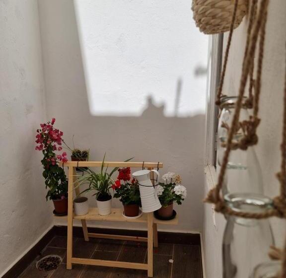 پانسیون Dream Days Guesthouse