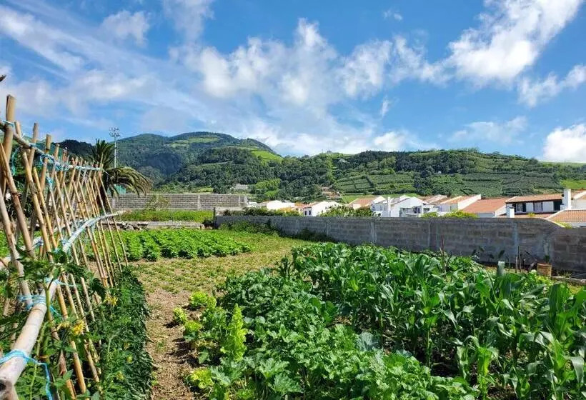 ペンション Pousada Da Vila