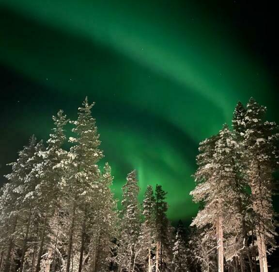 Aurora Queen Resort Igloos