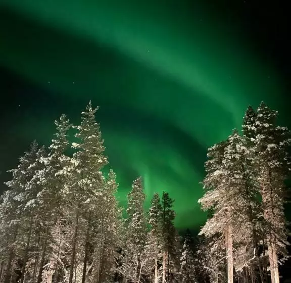 Aurora Queen Resort Igloos