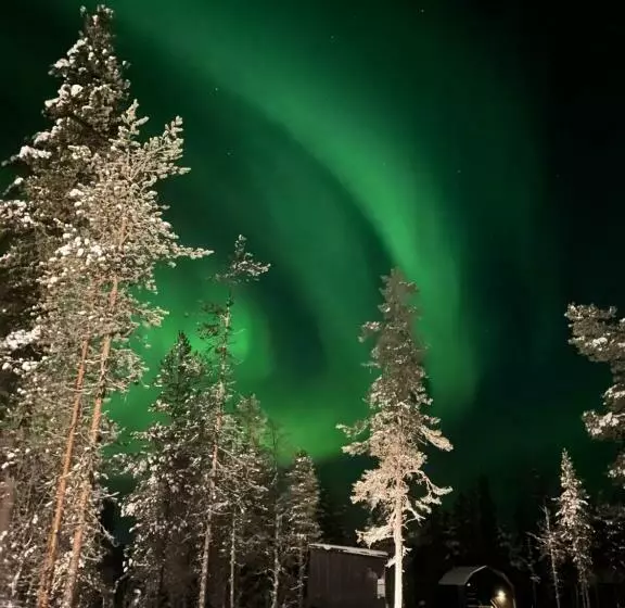 Aurora Queen Resort Igloos