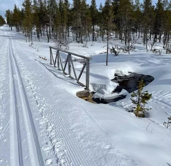 Aurora Queen Resort Igloos