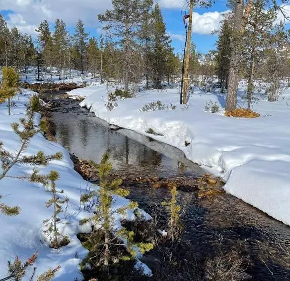 Aurora Queen Resort Igloos