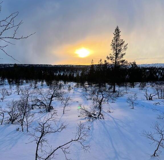 Aurora Queen Resort Igloos