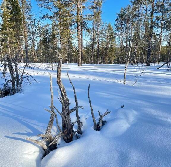 Aurora Queen Resort Igloos
