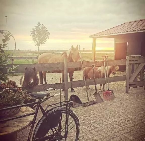 B&b Op De Terp
