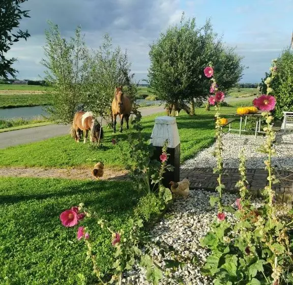 B&b Op De Terp