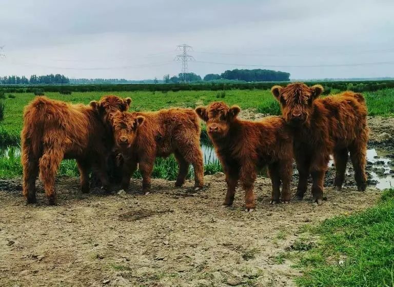 B&b Op De Terp