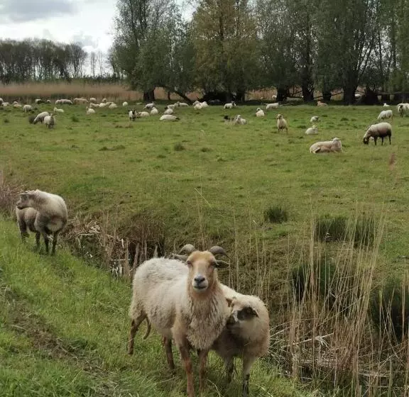 B&b Op De Terp