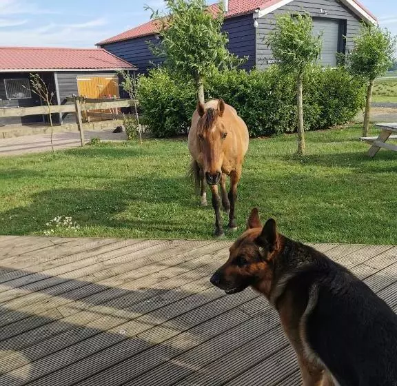 B&b Op De Terp