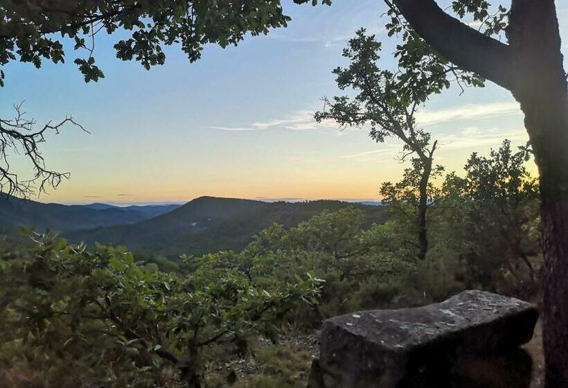 ベッドアンドブレックファースト Le Jas Des Cannebieres